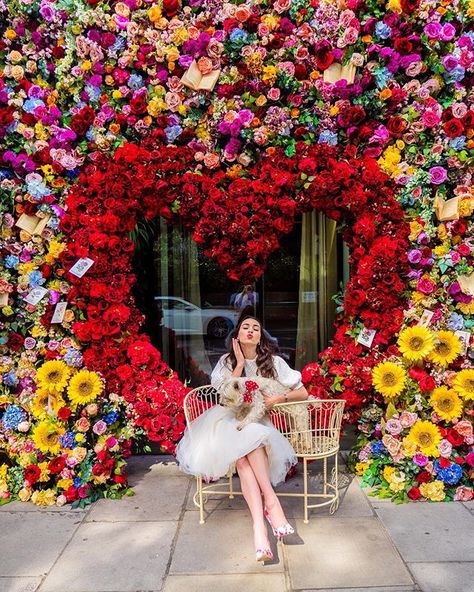 The Language of Flowers  Blowing a kiss to all of you who may need one today!  This installation by @amieboneflowers for #BelgraviaInBloom might just be one of my all time favourites  From the giant heart to the books floating around above my head it was truly a sight to behold  I am also now tempted to incorporate books into my wedding flowers because I love the effect so much!  We took a visit here with little Oscar and although hes quite inexperienced with posing for the Gram he certainly tri Decoration Vitrine, The Language Of Flowers, Boda Mexicana, Language Of Flowers, A Kiss, San Valentino, Flower Shop, Flower Wall, Pretty Flowers