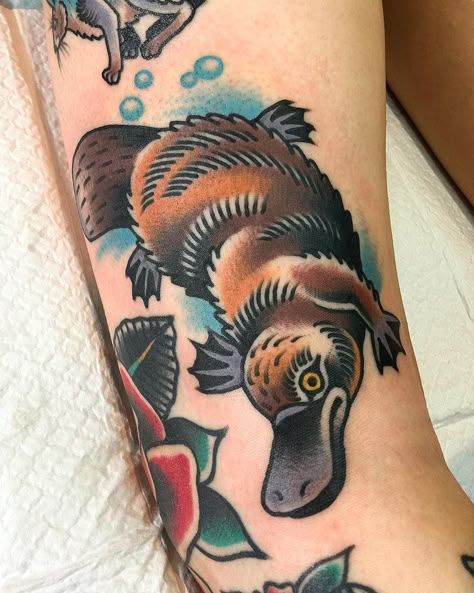 Traditional Axolotl Tattoo, Platypus Tattoo, Traditional Tattoo Animals, Swag Tattoo, Tortoise Tattoo, Koala Tattoo, Tattoo Sleeve Filler, Australian Tattoo, Traditional Tattoo Inspiration