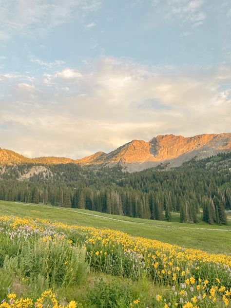 Top Of Hill Landscape, Soft Grass Aesthetic, Grassy Hills Aesthetic, Country Nature Aesthetic, Photo Landscape Nature, Colourful Landscapes Photography, Nature Asthetics Photos, Simple Landscape Photography, Horizon Aesthetic