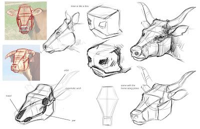 Cow head Jon Kuo Art Drawing Cows, Cow Reference, Cow Sketch, Drawings Of Animals, Animal Painter, Animal Studies, Cow Drawing, Animal Anatomy, Animal Study