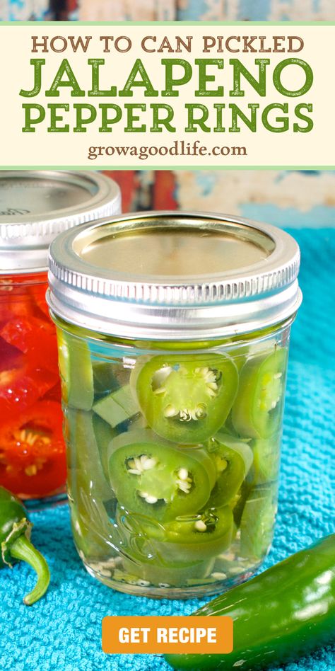 In this canning recipe, sliced jalapeño peppers are packed into jars, covered with a simple garlic infused vinegar pickling brine, and processed in a water bath canner for shelf stable jars. Pickled jalapeños come in handy to add spice to nachos, sandwiches, and salads. Visit to learn how to home can jalapeño pepper rings. Canning Hot Peppers, Pickled Jalapeno Recipe, Canning Jalapeno Peppers, Pickled Pepper Recipe, Canning Peppers, Pickle Brine, Hot Pepper Recipes, Pepper Rings, Water Bath Canning Recipes