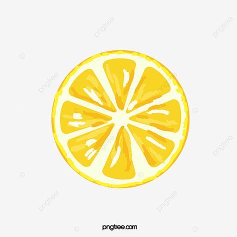 Sliced Lemon Drawing, Cartoon Lemon Slice, Citrus Drawing Simple, Painted Lemon Slice, Lemon Vector Illustration, Lemon Slice Illustration, Fruit Slice Drawing, Lemon Cartoon Drawing, Lemon Illustration Design