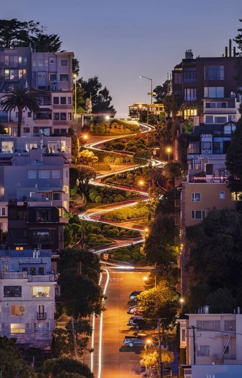 Lombard Street San Francisco, National Geographic Photography, Usa San Francisco, Visit San Francisco, Building Aesthetic, Lombard Street, Visit California, Loving Life, South Bay