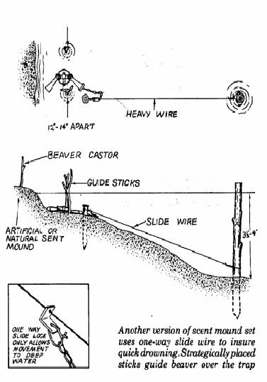 Beaver Trapping, Wilderness Survival, Home Inspection, Mountain Man, Game Design, Google Search, Water