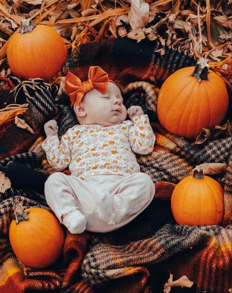 Newborn Girl Fall Photoshooting Ideas, Baby Girl Fall Photoshooting Ideas, Infant Pumpkin Patch Pictures, Infant Pumpkin Pictures, Newborn Fall Photos, Fall Photoshoot For Baby, Newborn Pumpkin Patch Pictures, Pumpkin Patch Photoshoot Baby, Fall Baby Photoshoot Ideas