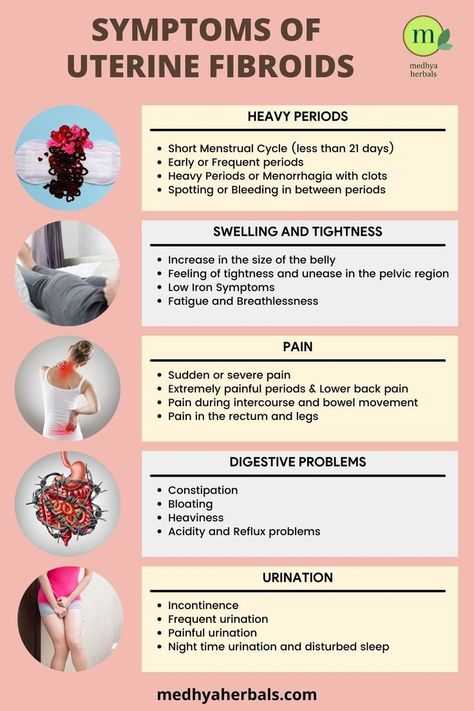 The symptoms experienced due to uterine fibroids can vary widely depending on the size, number, and location of the fibroids. In addition, presence of fibroids often is often accompanied by fatty liver disease in which your fat metabolism is compromised leading to sluggish liver function, weight gain, digestive and metabolic health issues. Fibroid Diet, Fibroid Uterus, Fibroid Tumors, Low Estrogen Symptoms, Pelvic Region, Healthy Routine, Reproductive System, Digestion Problems, Migraine