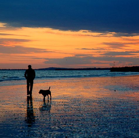 Faithful companion Beach Dog, Man And Dog, Dog Beach, Mans Best Friend, A Smile, Fine Art America, Beautiful Nature, Beautiful Pictures, Cool Pictures