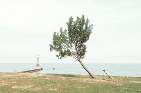 Lean With It: People Photographed Leaning at Impossible Angles with Trees | Paul Octavious. Photography Series, Top Photographers, Unique Trees, Photo Series, Photo Projects, Photography Projects, Falling Down, A Tree, Photography Tips