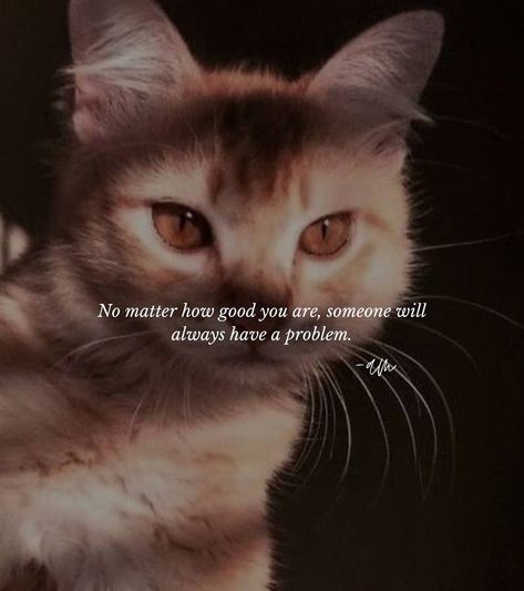 Cat Person Quotes Aesthetic, Pretty Words With Deep Meanings Love, Hiiiiiii Text Meaning, Cat Person Quotes, Living My Life Quotes, Authentic Quotes, Strong Girl Quotes, Attitude Lines, Attitude Thoughts