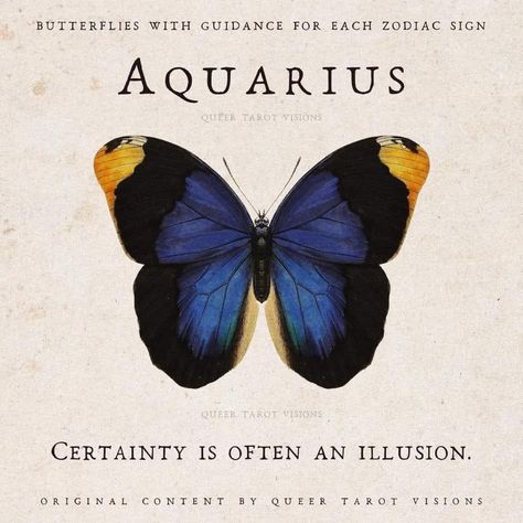 Aquarius Funny, Zodiac Sign Aquarius, Aquarius Life, Aquarius Quotes, Butterfly Quotes, Aquarius Woman, Blue Nature, Zodiac Signs Aquarius, Art Gallery Wallpaper