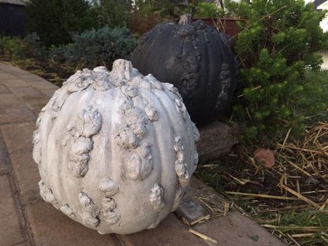 From spooky Jack-O-Lanterns to rustic fall decor, there is no end to the creative fun you can have with these gorgeous gourds. Warty Pumpkins, Plastic Pumpkins Bucket, Pumpkin Tutorial, Diy Water Feature, Unicorn Pumpkin, Gorgeous Gourds, Pumpkin Uses, Giant Pumpkin, Purple Door