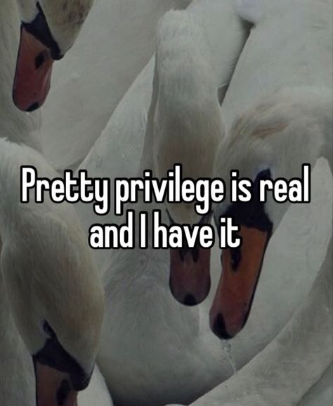 Pretty Privilege Is Real, Vision Board Wallpaper, Luck Quotes, Good Luck Quotes, Self Love Affirmations, Faith Over Fear, Love Affirmations, Feminine Energy, Aesthetic Backgrounds