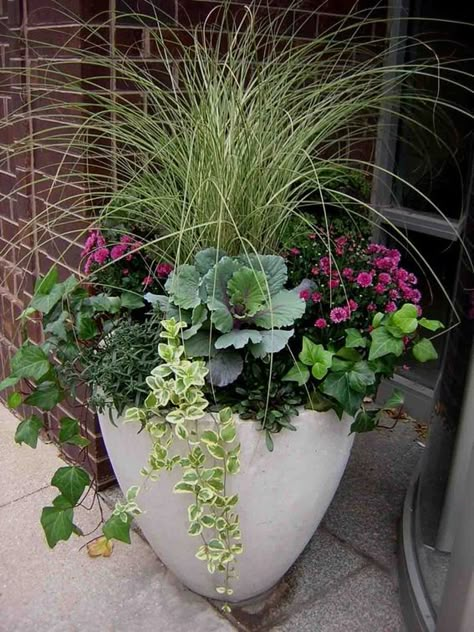 Winter Container Gardening, Fall Container Gardens, Winter Planter, Fall Containers, Container Garden Design, Container Gardening Flowers, Fall Planters, Have Inspiration, Garden Containers