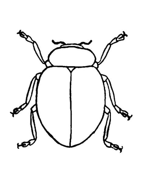 Beetle Coloring Page, Beautiful Beetles, Bug Cartoon, Elements Of Art Line, Beetle Drawing, Bugs Drawing, Insect Coloring Pages, Bug Coloring Pages, Beetle Art