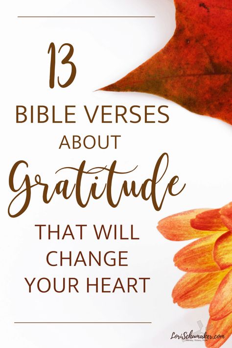 Verses About Gratitude, Bible Verses For Hope, Verses For Hope, Hope Bible Verses, Christmas Bible Verses, An Attitude Of Gratitude, Proverbs 31 Women, Learning To Pray, Bible Resources