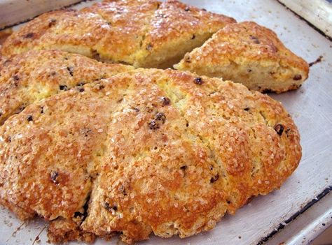 Currant scones are one of the best-sellers at pastry chef Joanne Chang's Boston bakery, Flour, and after she made me a batch in her home kitchen it was easy to see why. Featured in her eponymous new cookbook, the scones were humble and not-too-sweet with the perfect mix of crisp, fluffy, and buttery that equals oh-so-satisfying. Currant Scones, Joanne Chang, Flour Bakery, Dirt Cake, Easy Brunch Recipes, She Made Me, Carrot Cake Recipe, Cookie Bar Recipes, Scone Recipe