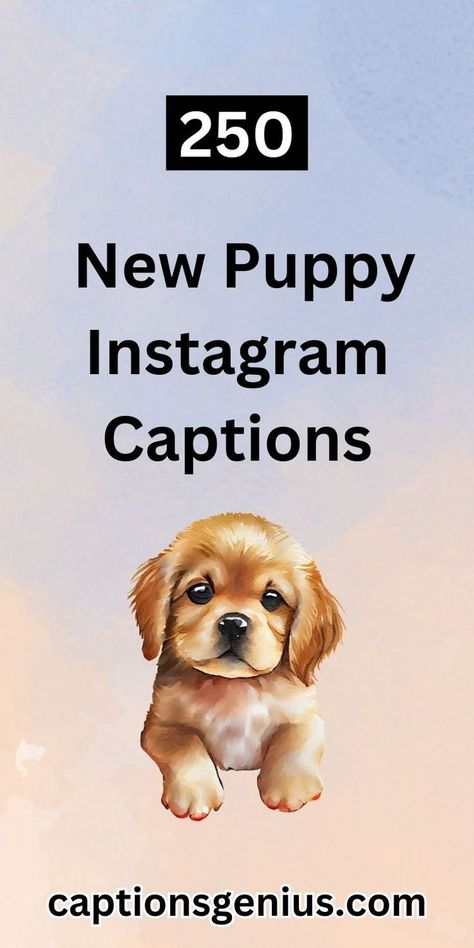 Explore endless cute and heartwarming New Puppy Instagram Captions. Turn each moment and tiny paw print into likes and warm comments! Puppy Instagram Bio Ideas, Welcome Puppy Announcement, New Puppy Quotes For Instagram, New Puppy Captions, New Puppy Announcement Instagram, Puppy Captions Instagram So Cute, Puppy Quotes Cute, Puppy Quotes For Instagram, Puppy Captions Instagram