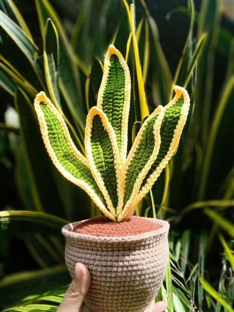 Snake Plant Crochet, Plant Crochet, Crochet Snake, Crochet Flower Patterns, Snake Plant, Crochet Bag Pattern, Knit Or Crochet, Crochet Flowers, Bag Pattern