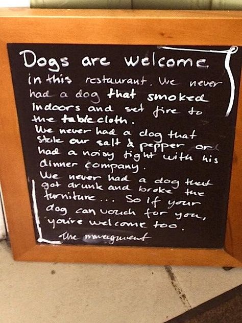 RT “@PetsPyjamas.com: This restaurant in Stockholm has got it spot on #petfriendly #dogs #pets pic.twitter.com/ago7hmVCD9” #dogs & fine dining! Yay! Fine Dining Quotes, Dining Quotes, Bakery Interior, Food Captions, Restaurant Patio, Food Quotes, Juice Bar, Dog Quotes, Fine Dining