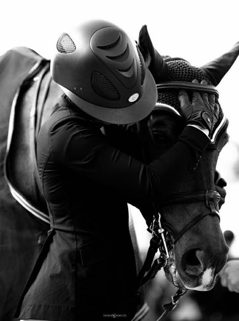 Winter Equestrian, Horse Photography Poses, Wellington Florida, Equestrian Aesthetic, English Riding, Horse Aesthetic, Equestrian Lifestyle, Horse Crazy, Equestrian Life