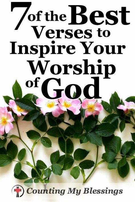 Worship Verses, Worshiping God, Counting My Blessings, Thanking God, Spiritual Motivation, Worship Quotes, My Blessings, Christian Counseling, Bible Study Tips