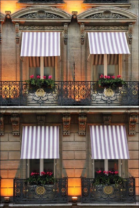 window 6 Hotel Lancaster Paris, Chateau Versailles, Country Dining, Casa Vintage, Gardening Flowers, I Love Paris, Paris Hotels, Flower Boxes, Home Staging