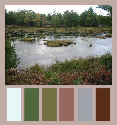 Forest Lake Color Palette, Swamp Colour Palette, Bayou Color Palette, Marsh Color Palette, Swamp Color Palette, Enchanted Forest Color Palette, Forest Color Palette, Swamp Forest, Enchanted Forest Coloring