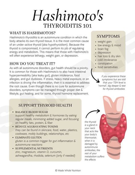 Thyroid Health Handout — Functional Health Research + Resources — Made Whole Nutrition Thyroid Healthy Foods, Functional Health, Immune Cells, Thyroid Symptoms, Thyroid Issues, Thyroid Function, Health Research, Thyroid Hormone, Autoimmune Disorder