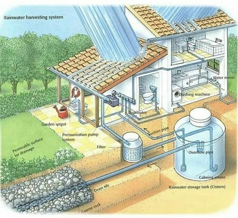 Water Collection System, Eco Construction, Rainwater Harvesting System, Earthship Home, Water Collection, Rainwater Harvesting, Earth Homes, Passive House, Rain Water Collection