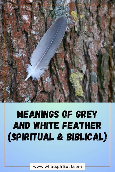 9 Meanings of Grey and White Mixed Feather (Spiritual & Biblical) 2 Brown And White Feather Spiritual Meaning, Grey Feather Meaning, White Feather Meaning, Feather Tattoo Meaning, Feather Meaning, Angelic Realm, Different Birds, Trust Your Instincts, Spiritual Enlightenment