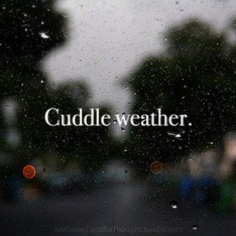 Cuddle weather :) Cuddle Weather Quotes, Bed Weather, Rainy Day Quotes, Cuddle Weather, Twisted Quotes, Rain Quotes, Season Quotes, Weather Quotes, Hugs And Cuddles