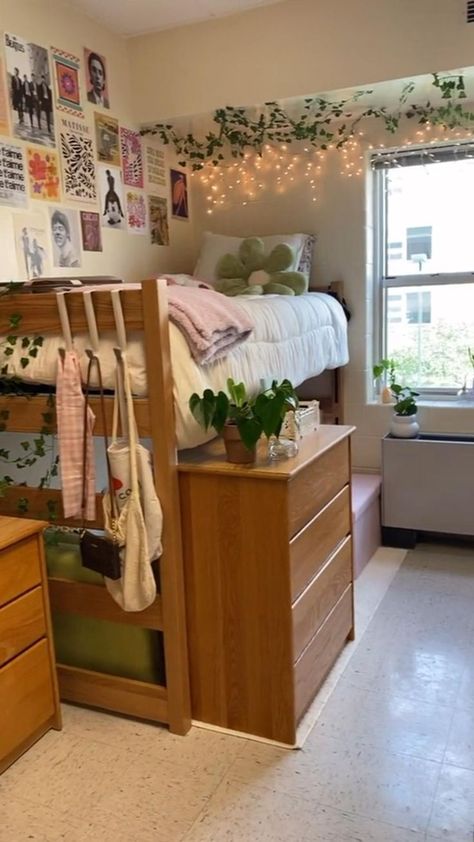 cozy dorm room  aesthetic cozy dorm room  aesthetic vintage cozy dorm room  aesthetic green cozy dorm room  aesthetic pink cozy dorm room  aesthetic blue cozy dorm room  aesthetic black Cozy Green Dorm Room, Plain Dorm Room, Green And Pink Dorm Room Aesthetic, 90s Dorm Room Aesthetic, University Of Tennessee Dorm Room, Forest Green Dorm Room Aesthetic, Nature Dorm Room Ideas, Dorm Room Aesthetic Green, Dorm Inspo Boho