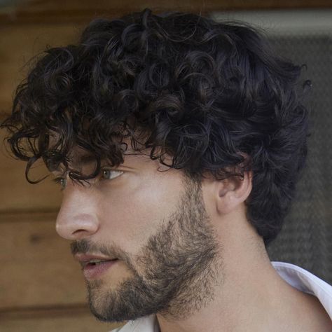 Curly Mens Hairstyles, Famous Hairdressers, Mens Short Curly Hairstyles, Curly Beard, Long Curly Hair Men, Men's Curly Hairstyles, Male Haircuts Curly, Mens Hairstyles Curly, Men Haircut Curly Hair