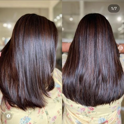 Redish Brown Hair, Balayage Hair Morenas, Brown Hair Trends, New Hair Color Trends, Bride Entry, Brown Hair Looks, Light Hair Color, Colour Ideas, Light Hair