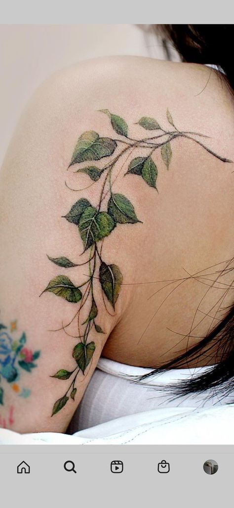 Vine Collar Bone Tattoos For Women, Poison Ivy Tattoo Vines, Collar Bone Tattoo For Women, Paws Tattoo, Poison Ivy Tattoo, Feminine Tattoo Designs, Ivy Tattoo, Stomach Tattoos Women, Vine Tattoo