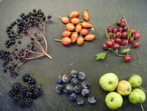 Hedgerow Jelly, Irish Foods, Elderberry Recipes, Wild Foraging, Garden Fruit, Red Jelly, Jelly Bag, Jelly Recipes, Food Forest