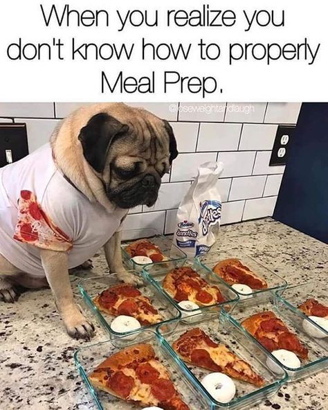 So me!!  #pizza #mealprep #dog #yum #healthy #not #dontjudgeme #funny #funnymemes Pizza Meme, Powerlifting Motivation, Fitness Humor, Diet Humor, Pizza Funny, Fitness Video, This Is Your Life, A Pug, Gym Memes