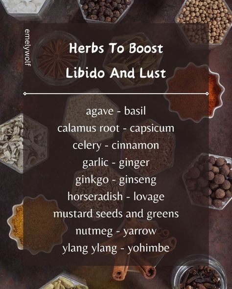 Libido Boost for Men Herbs For Sexuality, Herbs For Libido, Herbal Aphrodisiacs, Herbs For Men, Female Libido Booster, Burning Herbs, Healthy Vag, List Of Herbs, Herbal Benefits