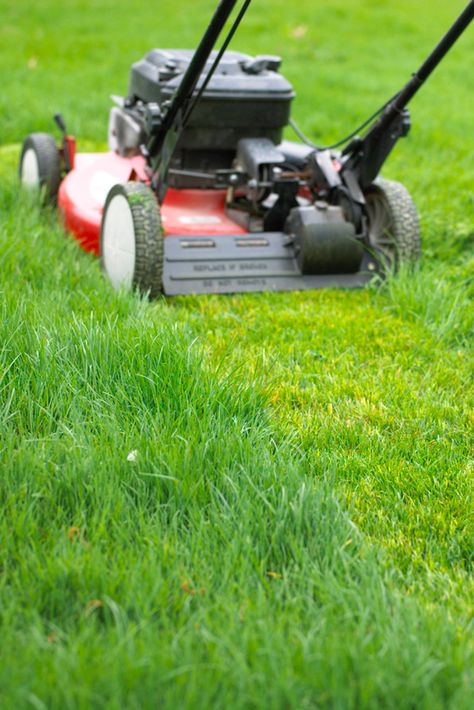 To end up with the healthiest fresh-cut grass, there are a few common mowing mistakes that you'll want to make sure you avoid. If you're guilty of any of these, luckily they're all easy to fix, and then you'll be able to have a beautiful lawn each time you mow. #mowing #howtomow #lawncare #landscaping #bhg Mowing The Lawn Tips, Mowing Aesthetic, Lawn Mowing Patterns, Mowing Lawn Aesthetic, Boho Cubicle Decor, Lawn Mower Aesthetic, Lawn Care Pictures, Lawn Mowing Logo, Mowing Grass