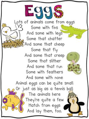 Oviparous Animals Poem - Great lesson idea on this website that includes a mentor text, writing prompt, and craftivity. Kindergarten Poems, Oviparous Animals, Animal Poems, Spring Kindergarten, Childrens Poems, Spring School, Poetry For Kids, Kids Poems, Spring Preschool