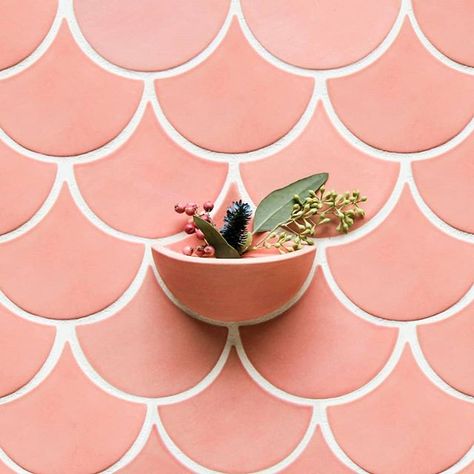 Plants help make a space feel bright and welcoming, and our ceramic planters are a gorgeous way to display your favorite sprigs. Get the scoop on the blog Ceramic Wall Planters to Add to Your Tile 🌿 Medium Moroccan Fish Scales - 309E Grapefruit. Moroccan Fish Scale Tile, Moroccan Fish Scale, Pink Tile, Ceramic Wall Planters, Mercury Mosaics, Fish Scale Tile, Bohemian Chic Decor, Ombre Wall, Wall Planters