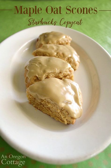 Maple Scones Recipe, Starbucks Scones, Oat Scones Recipe, Holidays Treats, Oregon Cottage, Cottage Recipes, Oat Scones, Sweet Board, Homestead Recipes