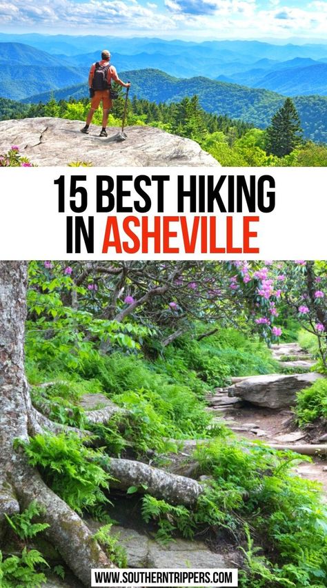 15 Best Hiking in Asheville Best Hikes In Asheville Nc, Hikes Near Asheville Nc, Hiking In Asheville Nc, Asheville Hiking Outfit, Nc Hiking Trails, What To Wear In Asheville Nc Summer, Things To Do In Asheville Nc, Asheville Nc Things To Do In, Asheville Nc Hiking