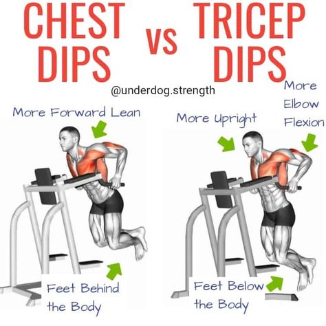 Chest Dips, Dip Workout, Chest Workout At Home, Workout Chest, Cardio For Fat Loss, Tricep Workout, Best Chest Workout, Full Body Workout Routine, Workout Splits