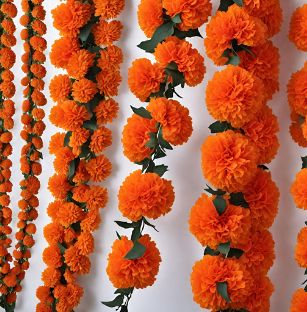 Marigold Garland Decoration, Marigold Strings, Indian Garland, Marigold Garland, Indian Decoration, Indian American Weddings, Garland Decoration, Indian Flowers, Flower Garland