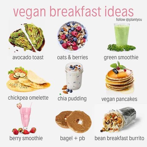 Tips Smoothies Diet 21 Day on Instagram: “🥞What’s your go-to vegan breakfast?! . 💕Mine is definitely a big hot bowl of oatmeal. . 🎉If you like variety, here are some quick and…” Quick Vegan Breakfast, Carleigh Bodrug, Smoothie Bowl Vegan, Vegan Breakfast Ideas, Breakfast Recipes Kids, Vegan Recipes Plant Based, Plant Based Diet Recipes, Plant Based Breakfast, Vegan Nutrition