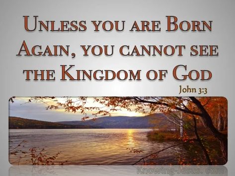 32 Bible verses about Being Born Again Trust In Jesus, Gospel Message, Born Again, Do What Is Right, John 3, Gods Grace, Son Of God, The Kingdom Of God, Lord Jesus Christ