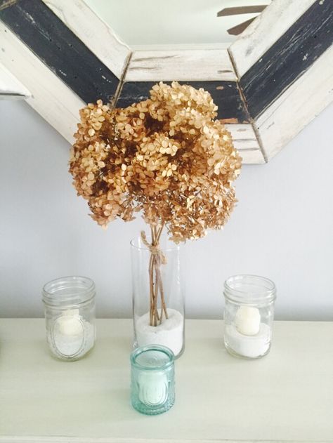 Dried out hydrangea, spray painted gold. Great and easy accent for any room! Boutique Window Displays, Landscape Design Drawings, Dried Hydrangeas, Wedding News, Flower Candle, Masquerade Ball, Dream Decor, Store Decor, Window Display