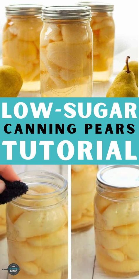 An easy step-by-step tutorial on Canning Pears. This easy recipe for preserved pears is perfect for newbies and experienced canners alike. Instructions include low-sugar and no-sugar options. Preserved Pears, Pear Recipes For Canning, Pear Recipes Easy, Canning Pears, Pear Preserves, Canning Salt, Preserving Recipes, Canned Pears, Canning Fruit