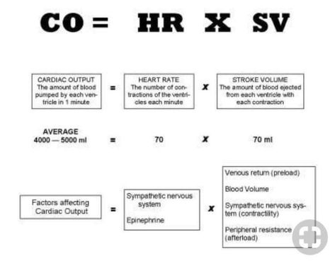 Medische Humor, Cardiac Output, Nerdy Nurse, Paramedic School, Penyakit Jantung, Basic Anatomy And Physiology, Nursing Mnemonics, Cardiac Nursing, Respiratory Care